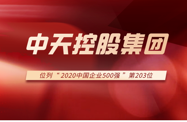 彩虹多多集团列2020中国企业500强第203位！
